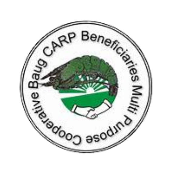logo1